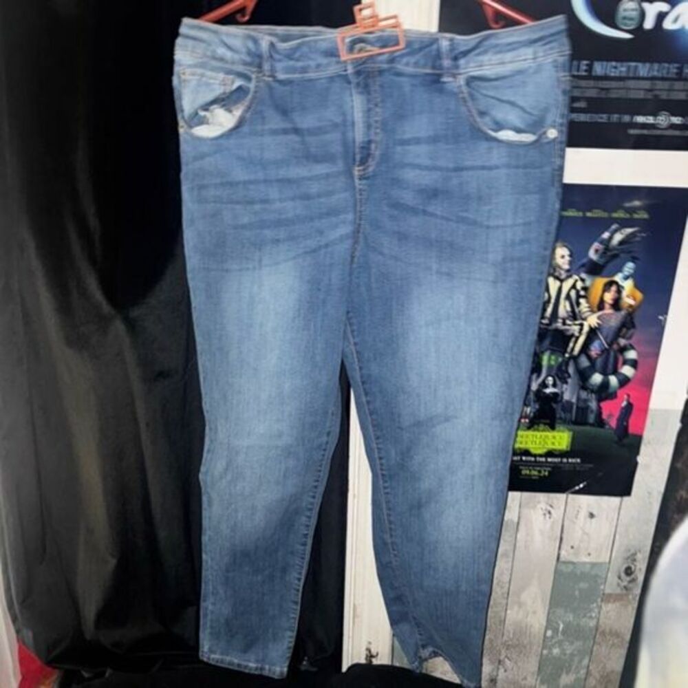 Thereabouts Blue Denim Jeans Size 20.5P Plus